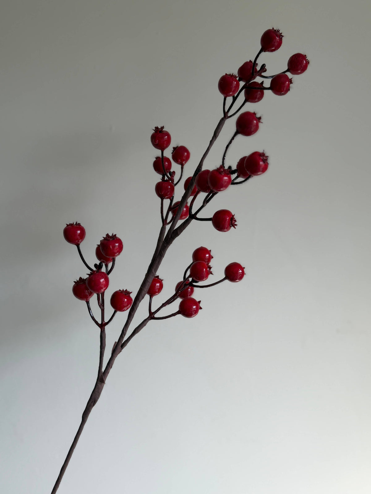 Red Berry Stem