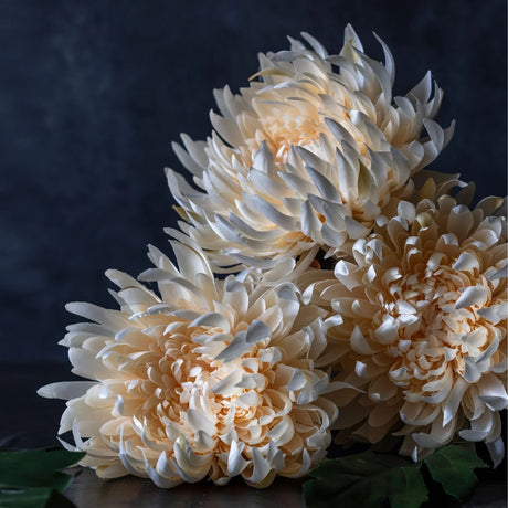 Abigail Ahern -Artificial Chrysanthemum, Cream
