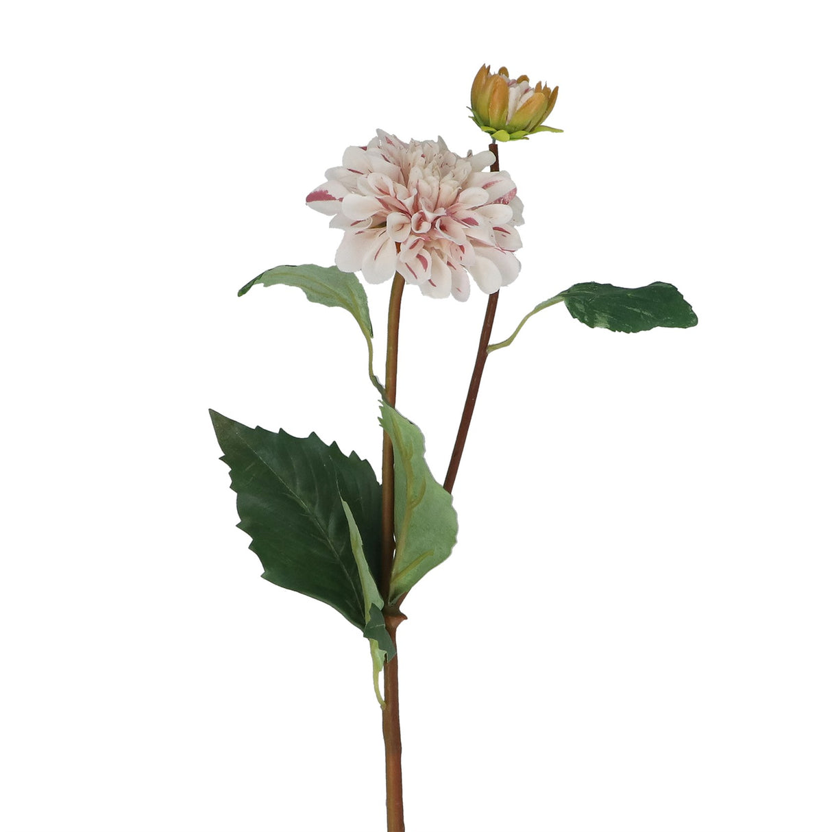 White/Pink Striped Dahlia Floral Spray, 53cm