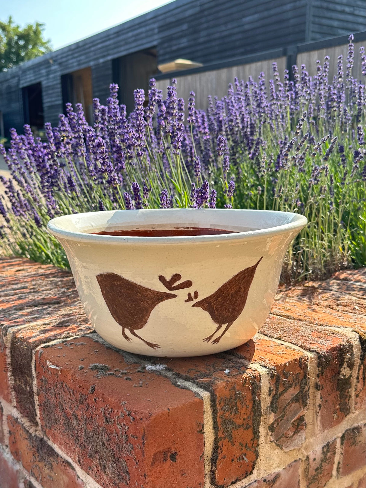 Chicken Bowl/Planter