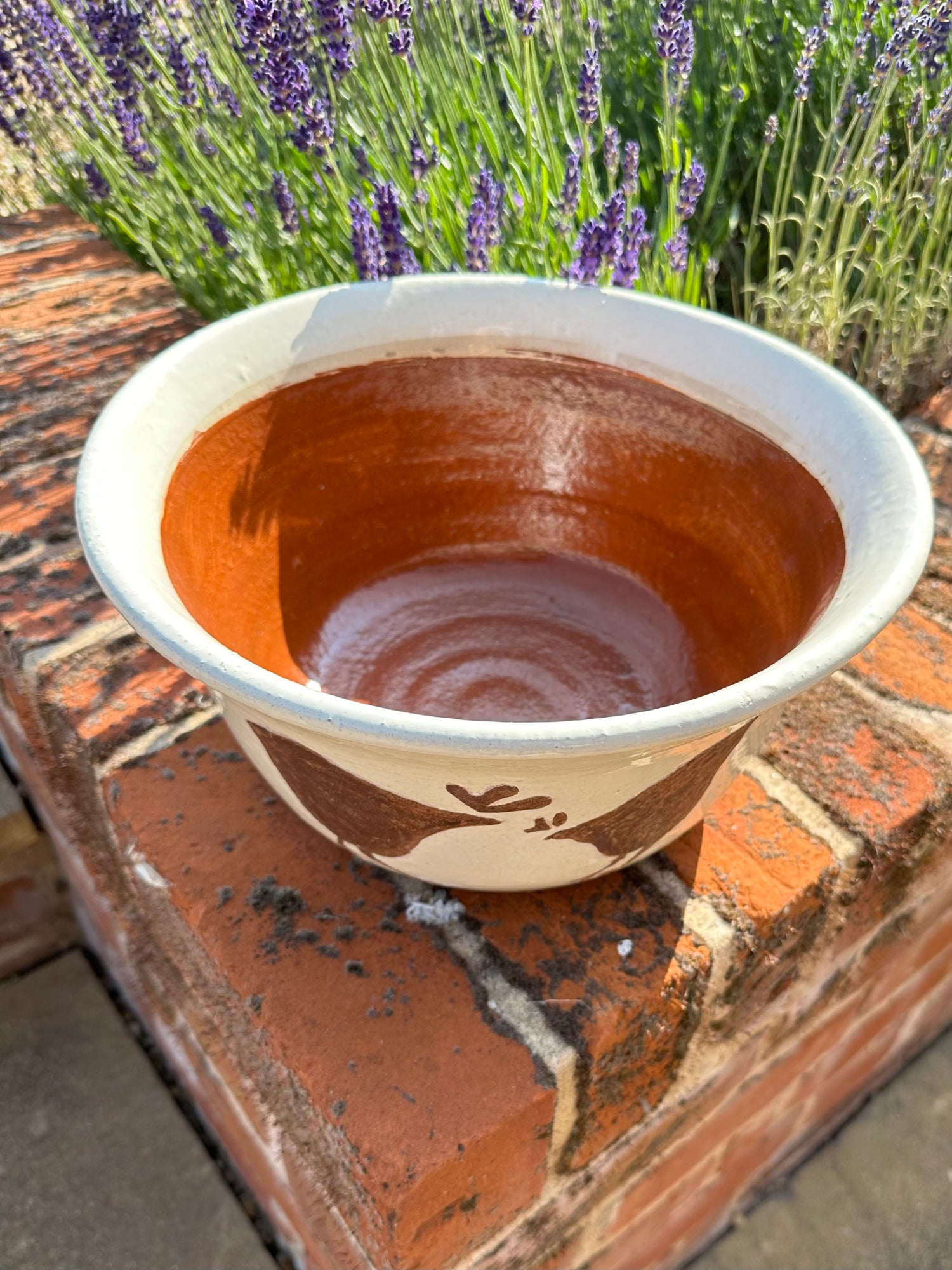 Chicken Bowl/Planter