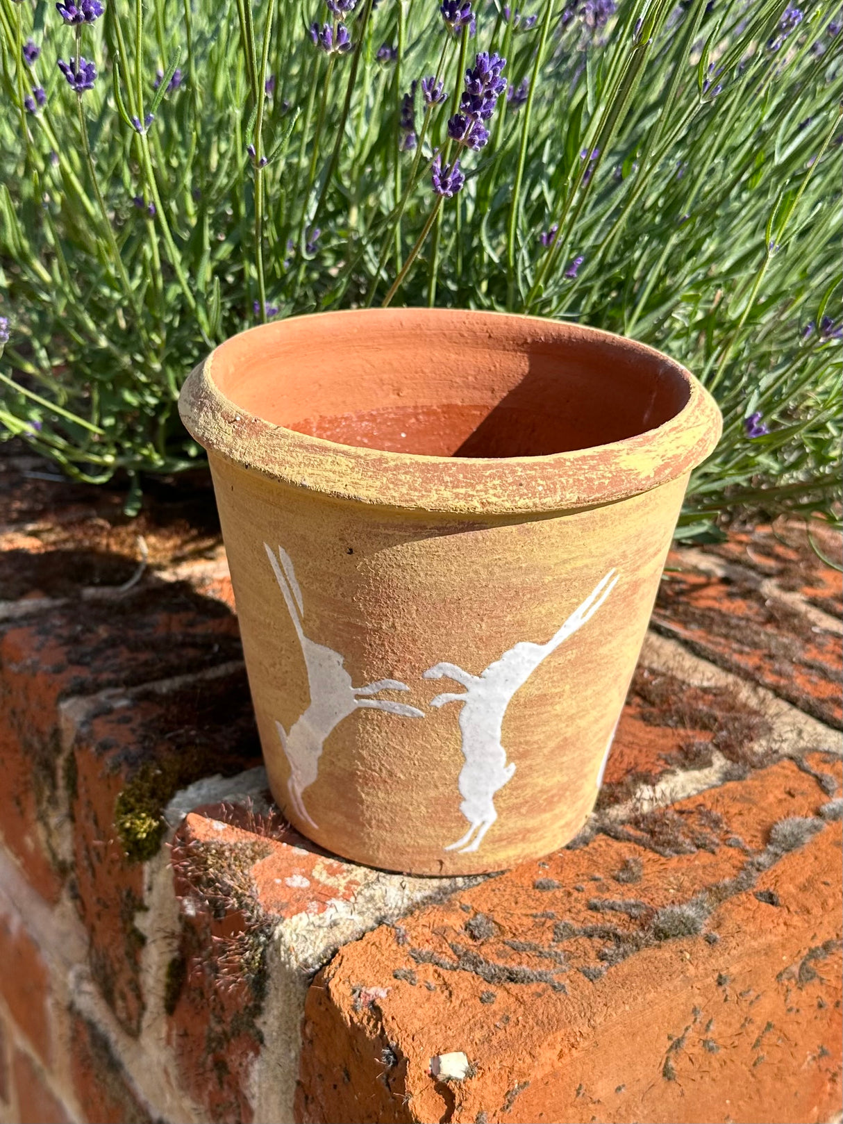 PLAYFUL HARE POT