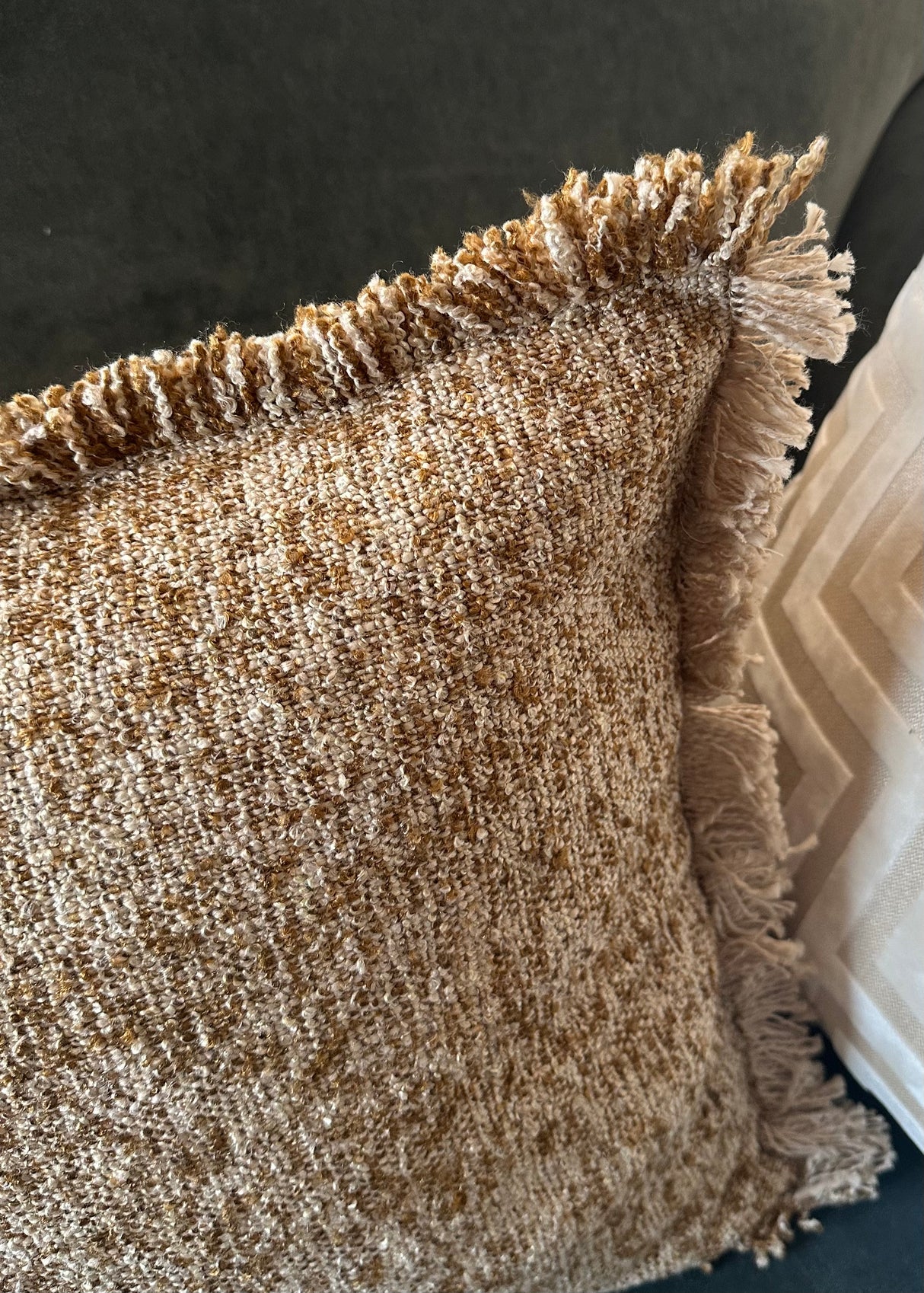 Doze Cushion Biscuit