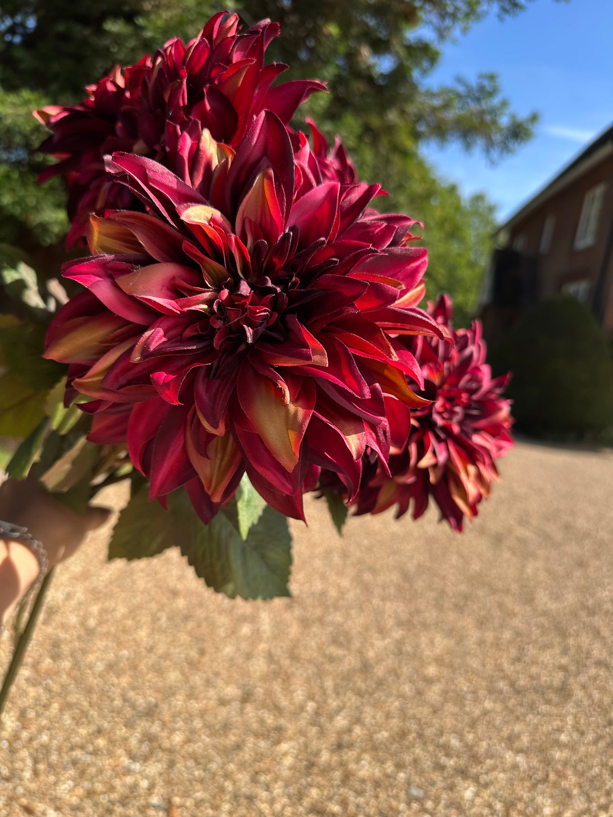 Artificial Dahlia Stem - Burgundy