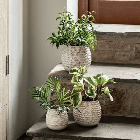 Garden Trading Winkleigh Pot 2 sizes