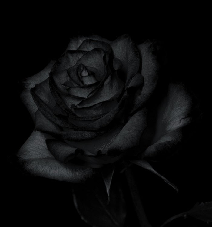 Oud & Black Rose Candle - Loyal luxury Candles
