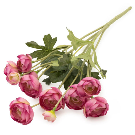 5 Mini Camellia Bush - Pink 39cm