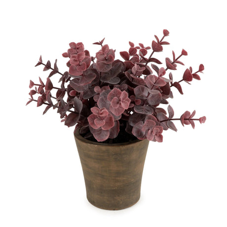 23cm Eucalyptus in Pot - Purple