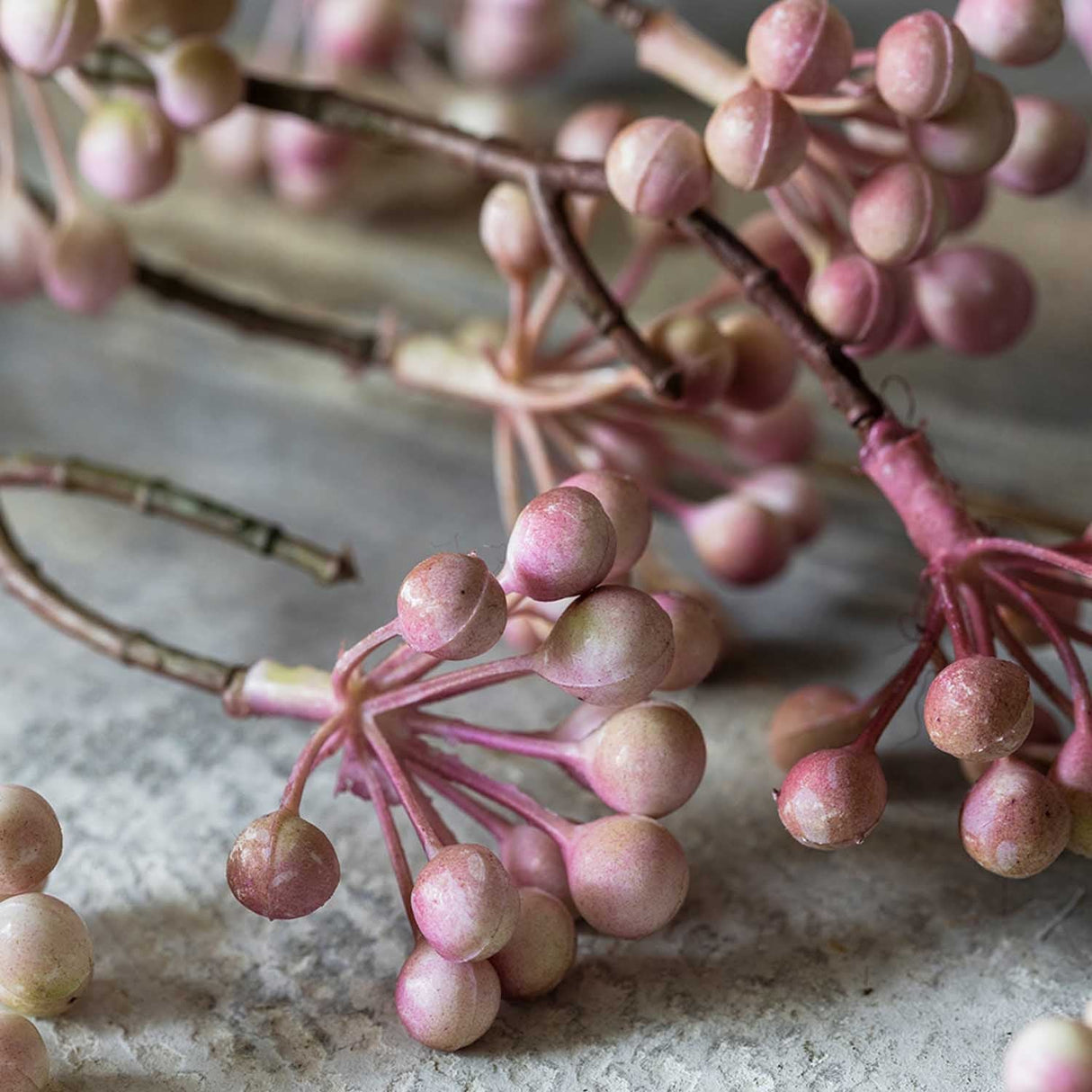 Artificial Woodland Beauty Berry - Abigail Ahern