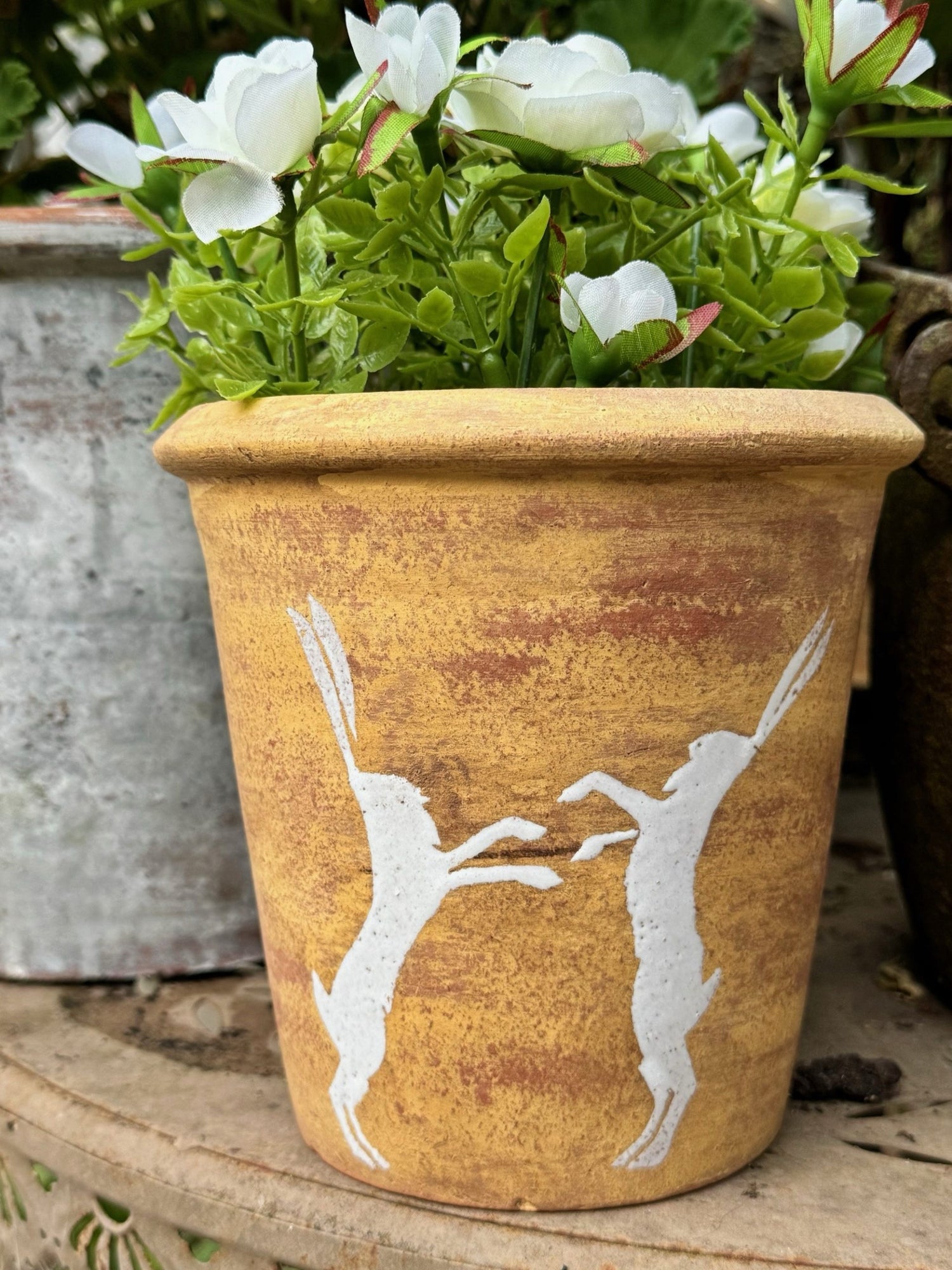 PLAYFUL HARE POT