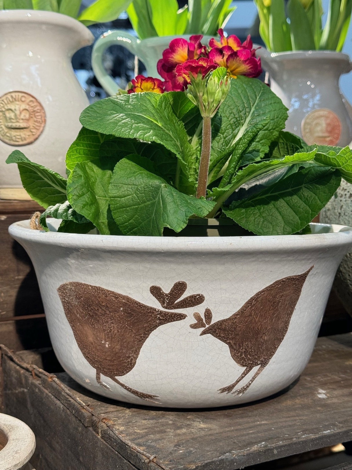 Chicken Bowl/Planter