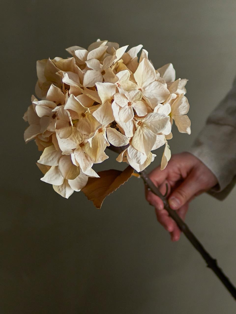 Hydrangea Stem, Nature, Artificial Flowers