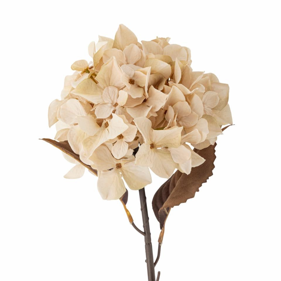 Hydrangea Stem, Nature, Artificial Flowers