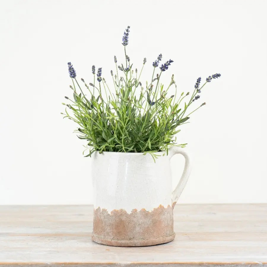Ido Cream Jug, 22cm