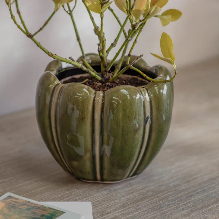 BERRINGTON ROUNDED POT