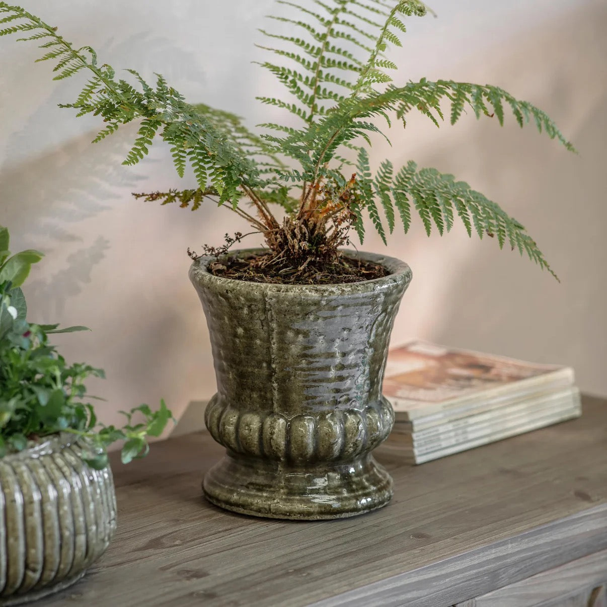 LODSWORTH FOOTED POT