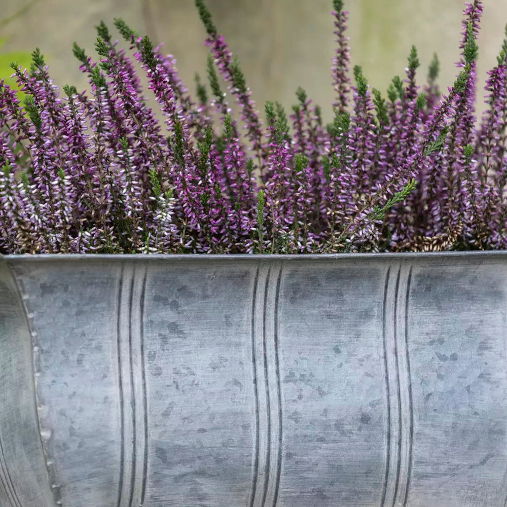 Zinc Ornate Planter With Feet Large