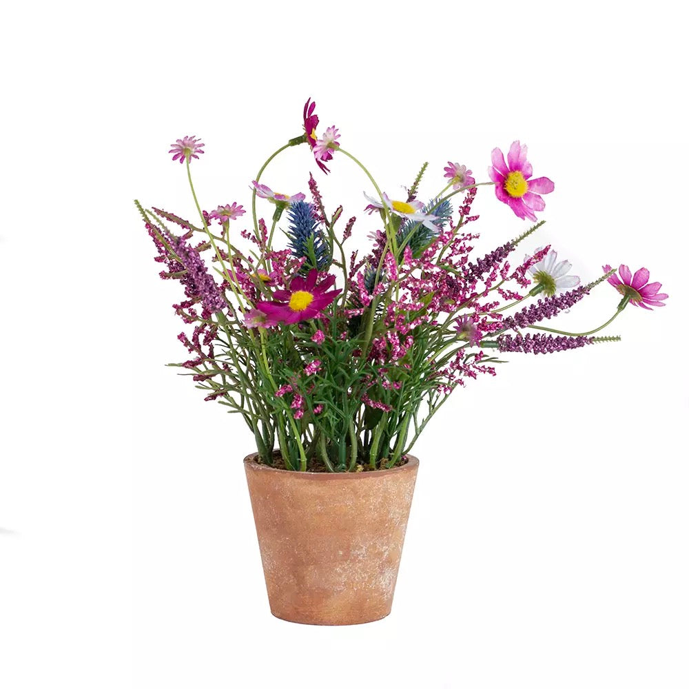 Wildflowers in Pot Pink