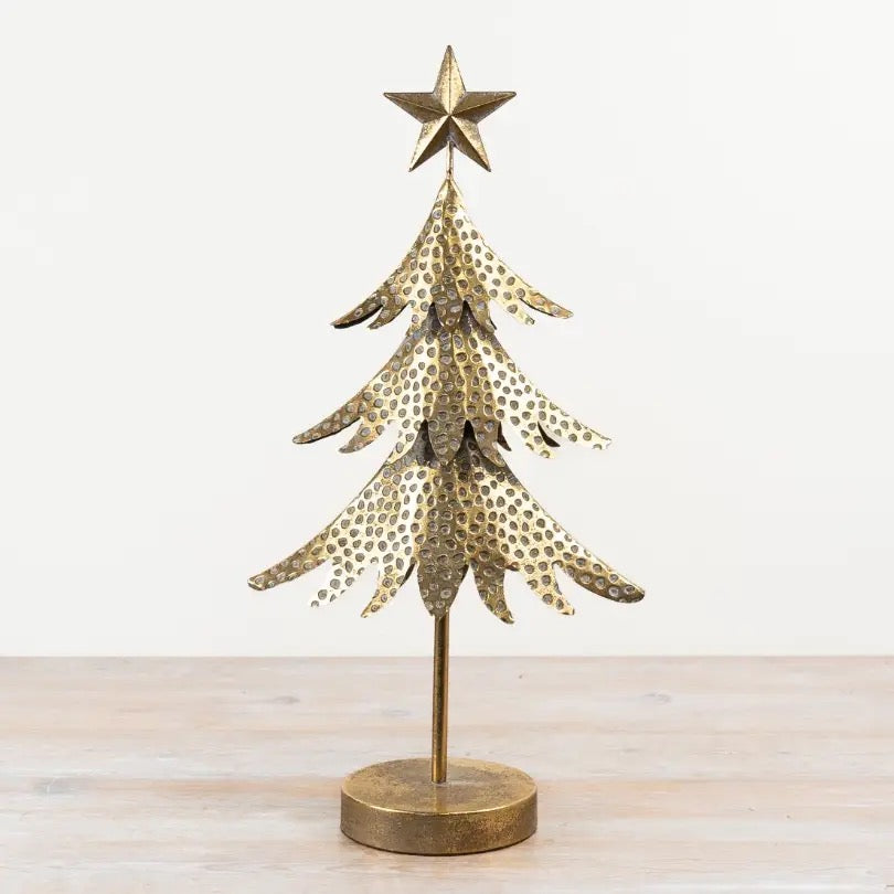 Gold Iron Tree, 53cm