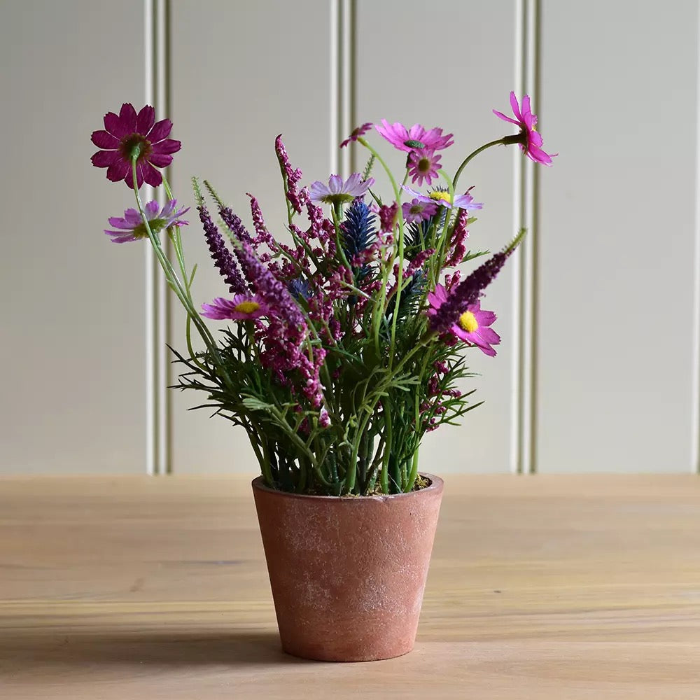 Wildflowers in Pot Pink