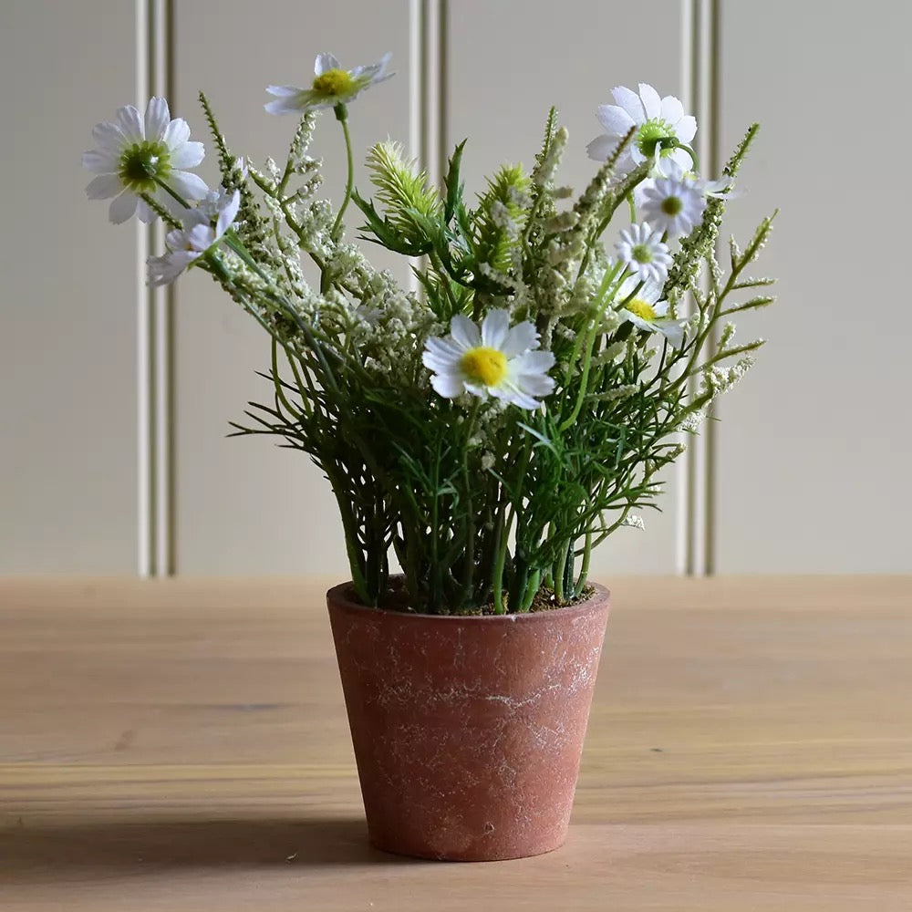 Wildflowers in Pot White