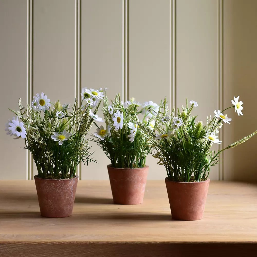 Wildflowers in Pot White