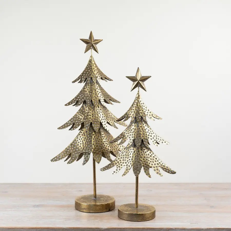 Gold Iron Tree, 53cm