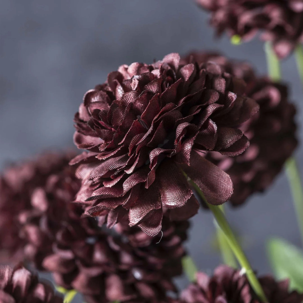 Artificial Clove Stem - Abigail Ahern