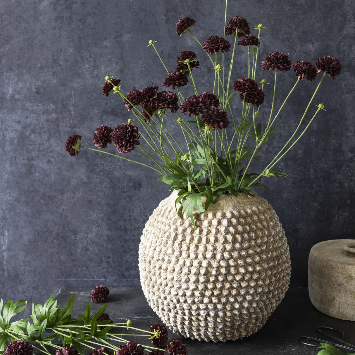 Artificial Clove Stem - Abigail Ahern