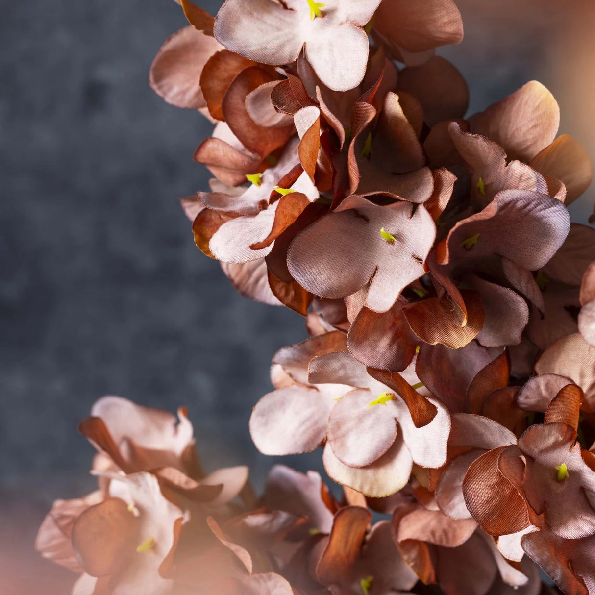Artificial Cone Hydrangea, Antique Pink -  Abigail Ahern