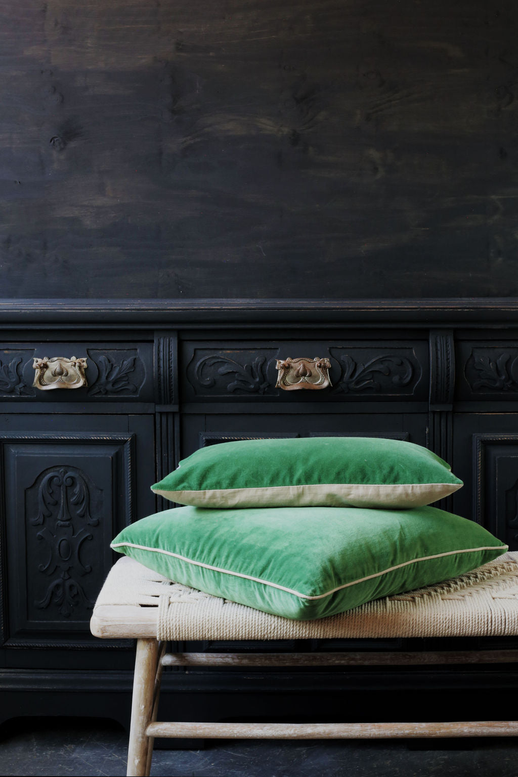 Misi Velvet Cushion - Parrot