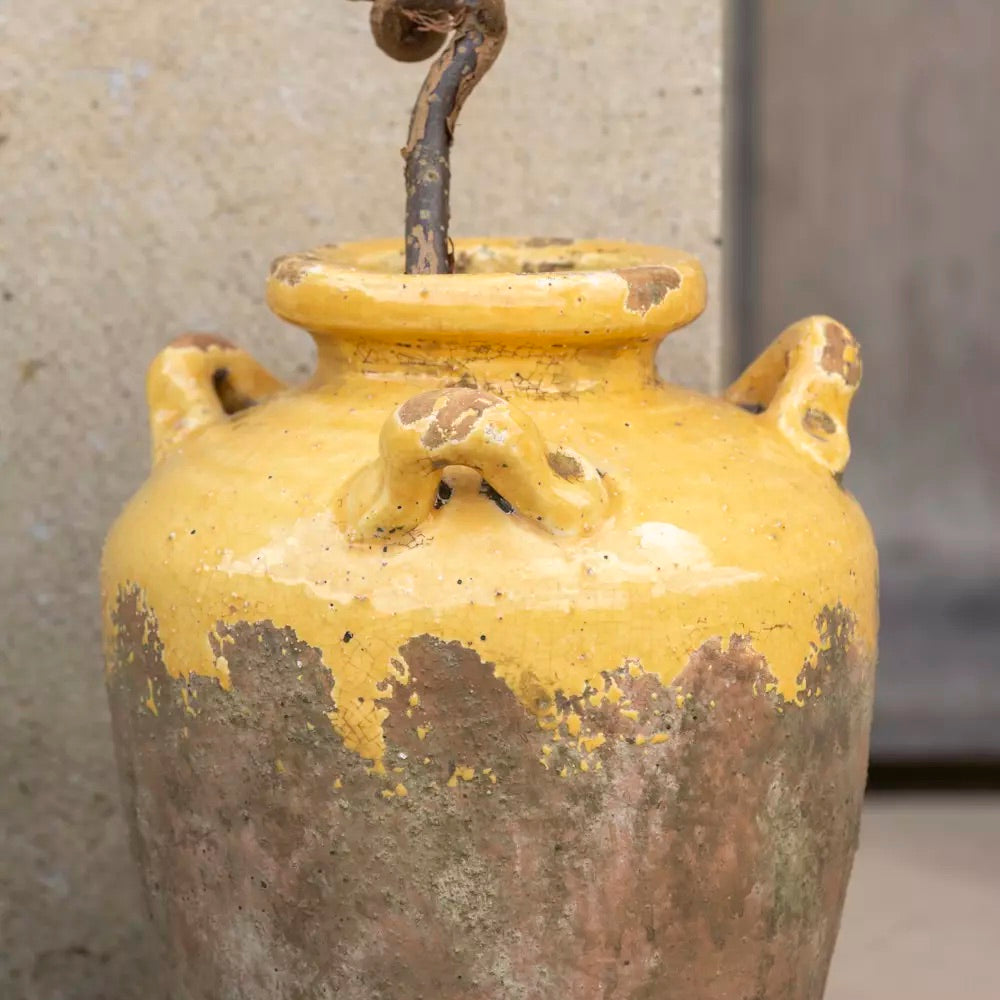 Terracotta Urn Yellow