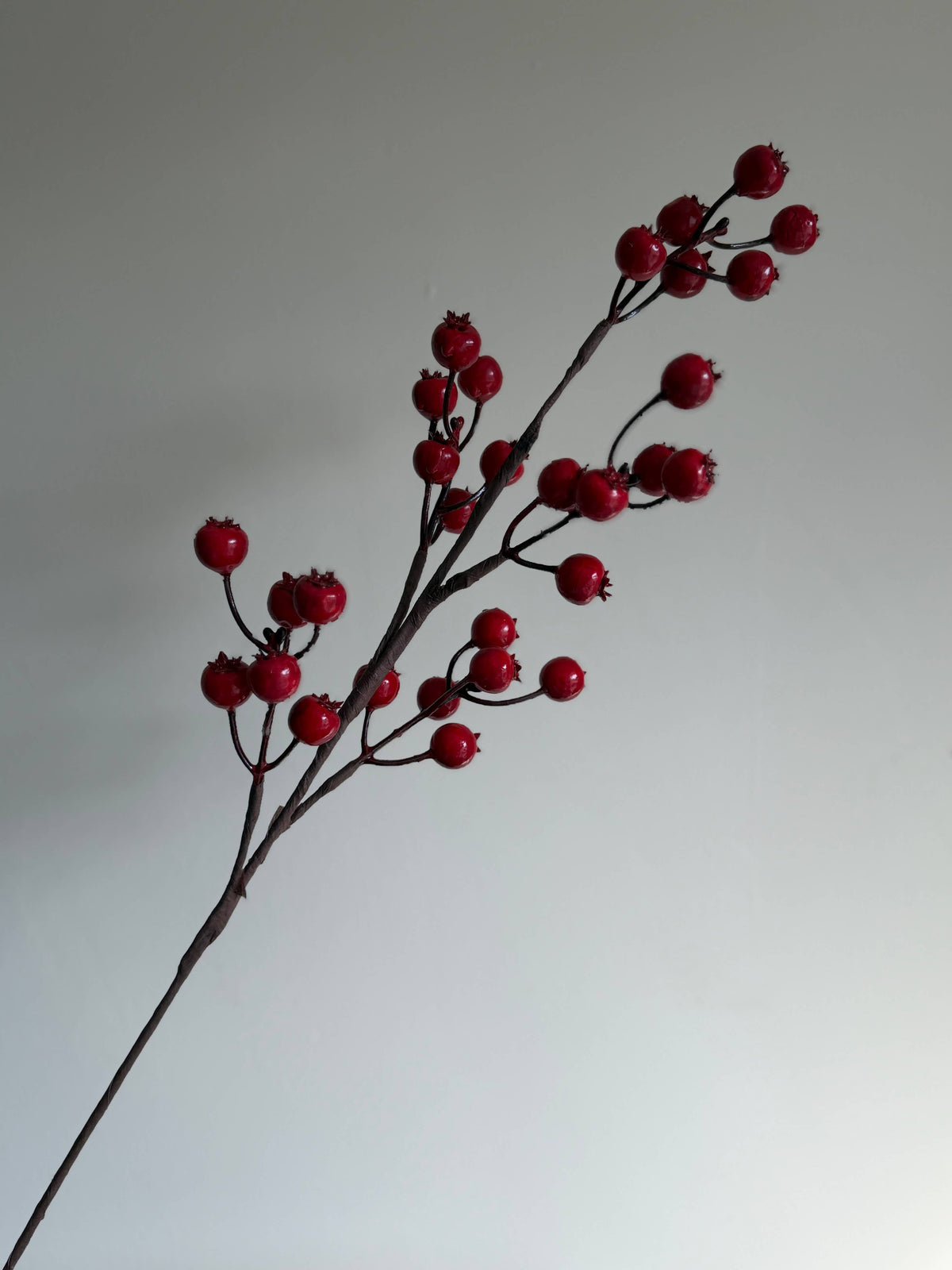Red Berry Stem
