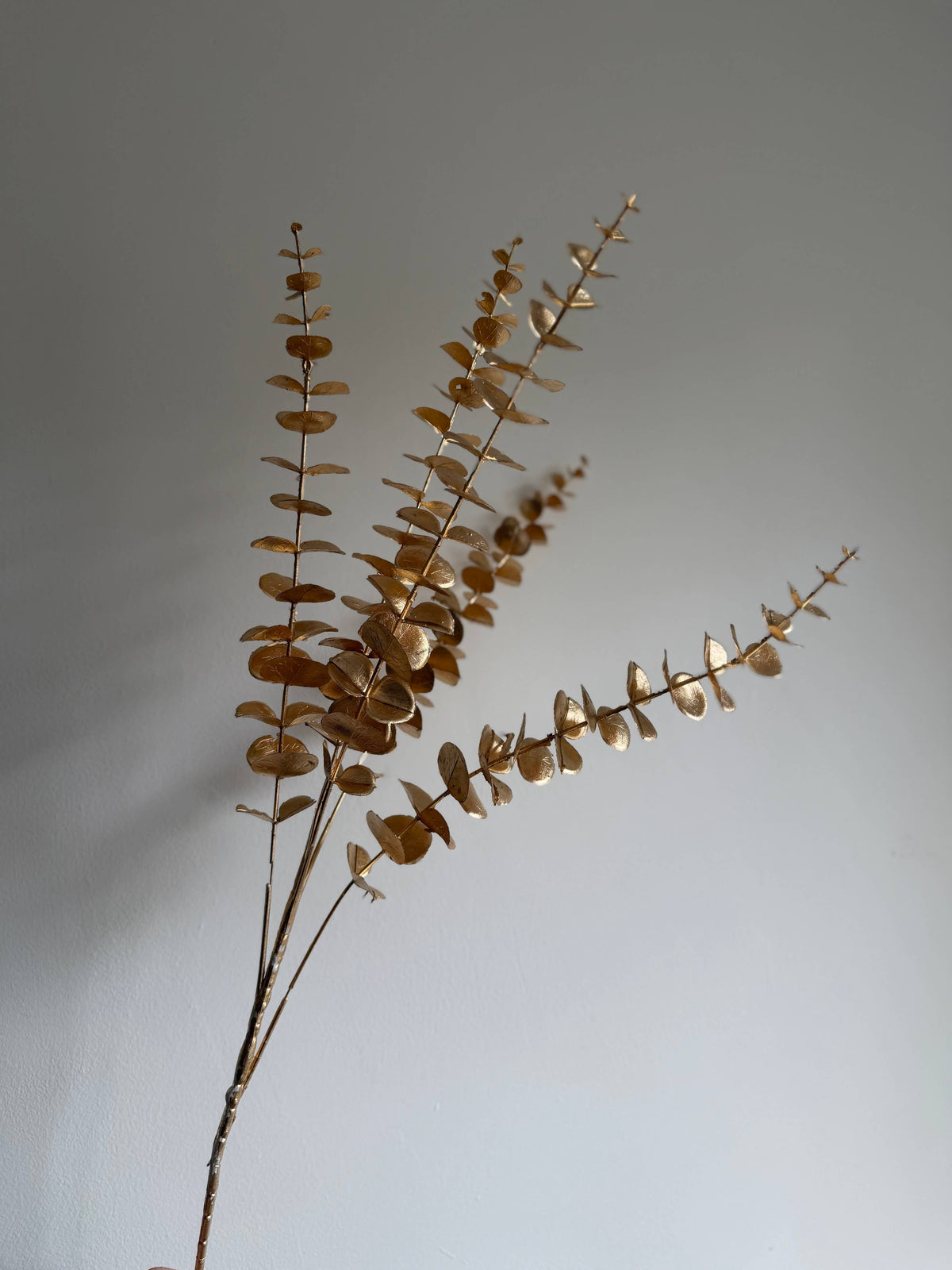 Gold Eucalyptus faux
