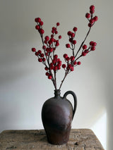 Red Berry Stem