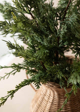 Faux Juniper Christmas Branch