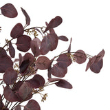 Burgundy Berried Eucalyiptus