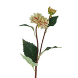 Green/Pink Striped Dahlia Floral Spray, 53cm