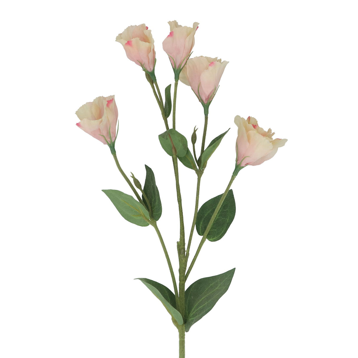 Blush Pink Lisianthus Floral Spray, 76cm