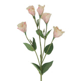 Blush Pink Lisianthus Floral Spray, 76cm