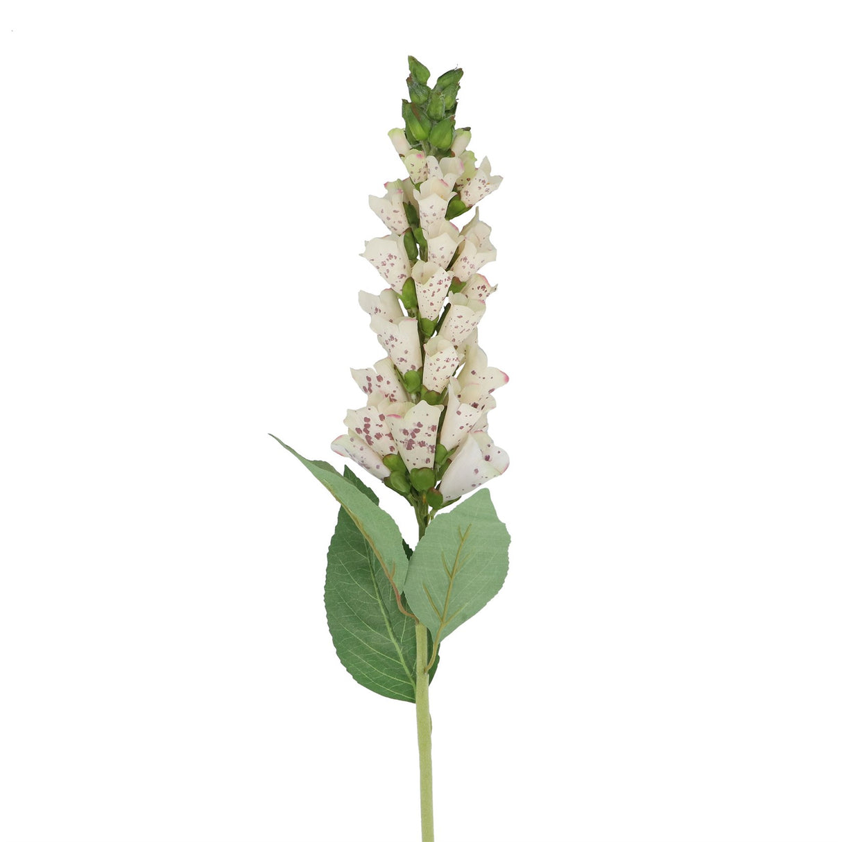 Cream Foxglove Floral Stem, 82cm
