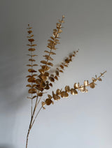 Gold Eucalyptus faux