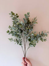 Gum Drop Eucalyptus Stem