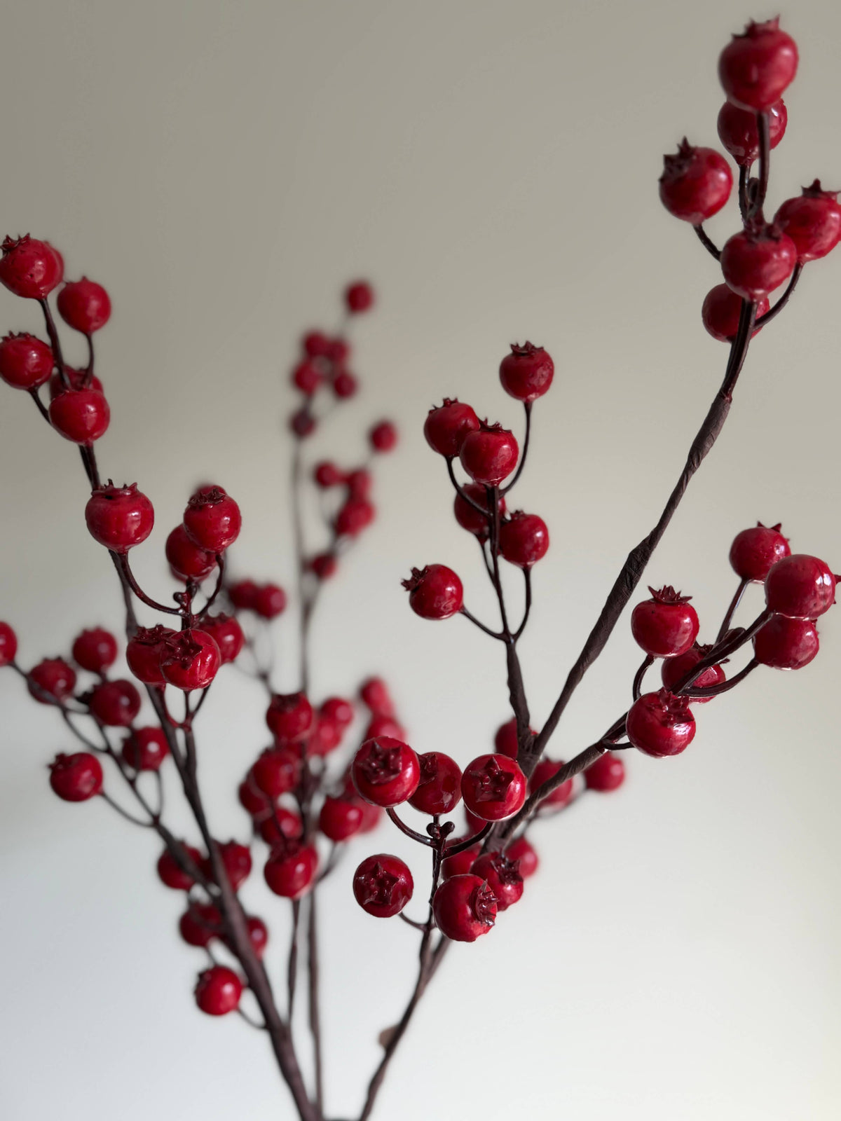 Red Berry Stem