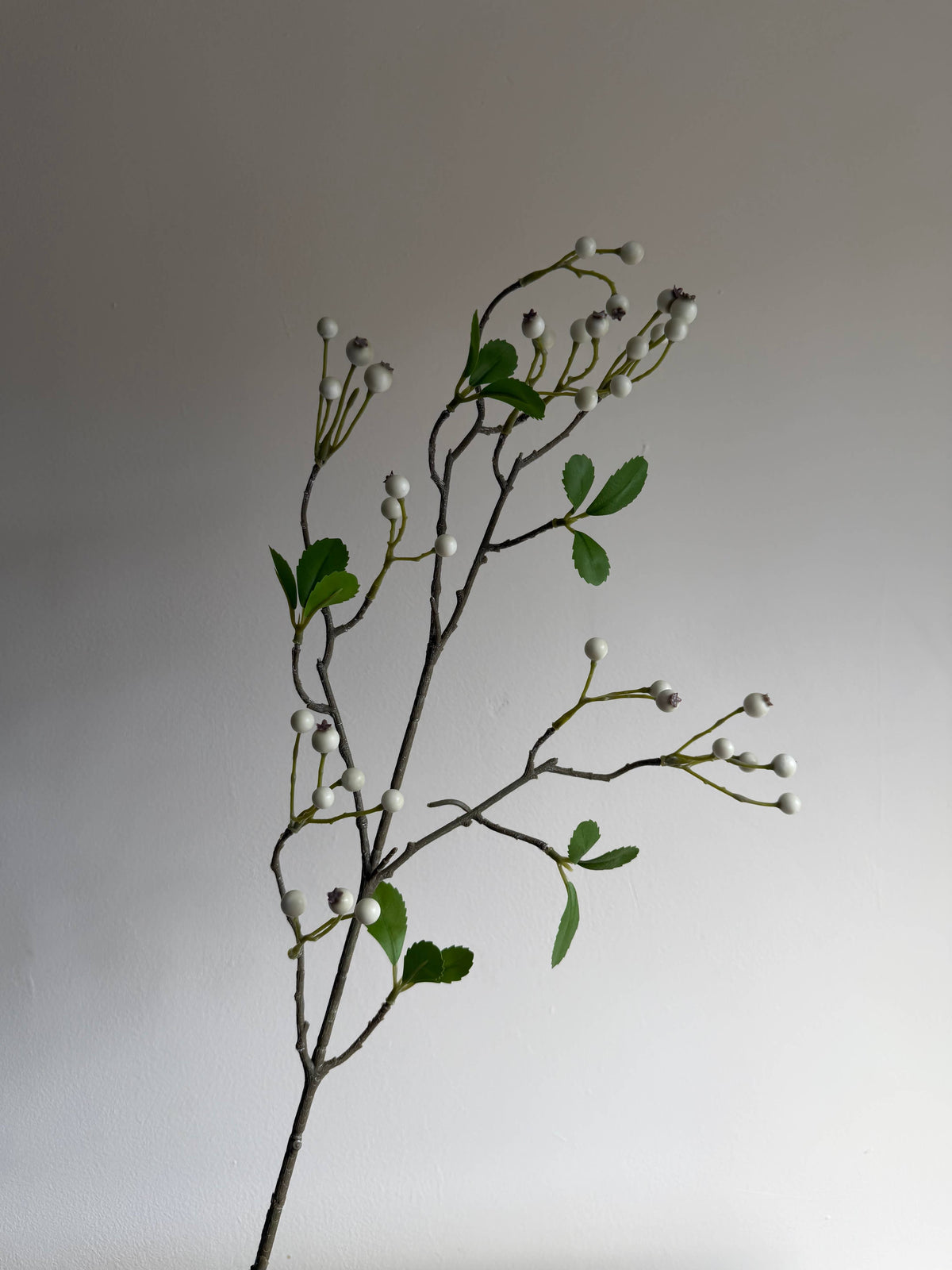 White Winter Berry Spray
