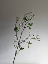 White Winter Berry Spray