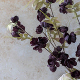 Abigail Ahern - Artificial Quince Blossom Plum