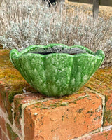 SHELL PLANTER VERDE 27cm