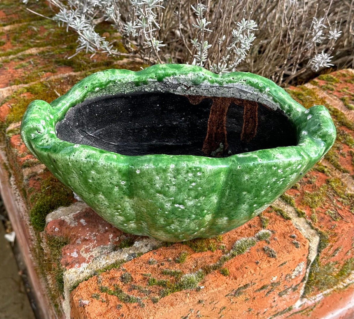 SHELL PLANTER VERDE 27cm