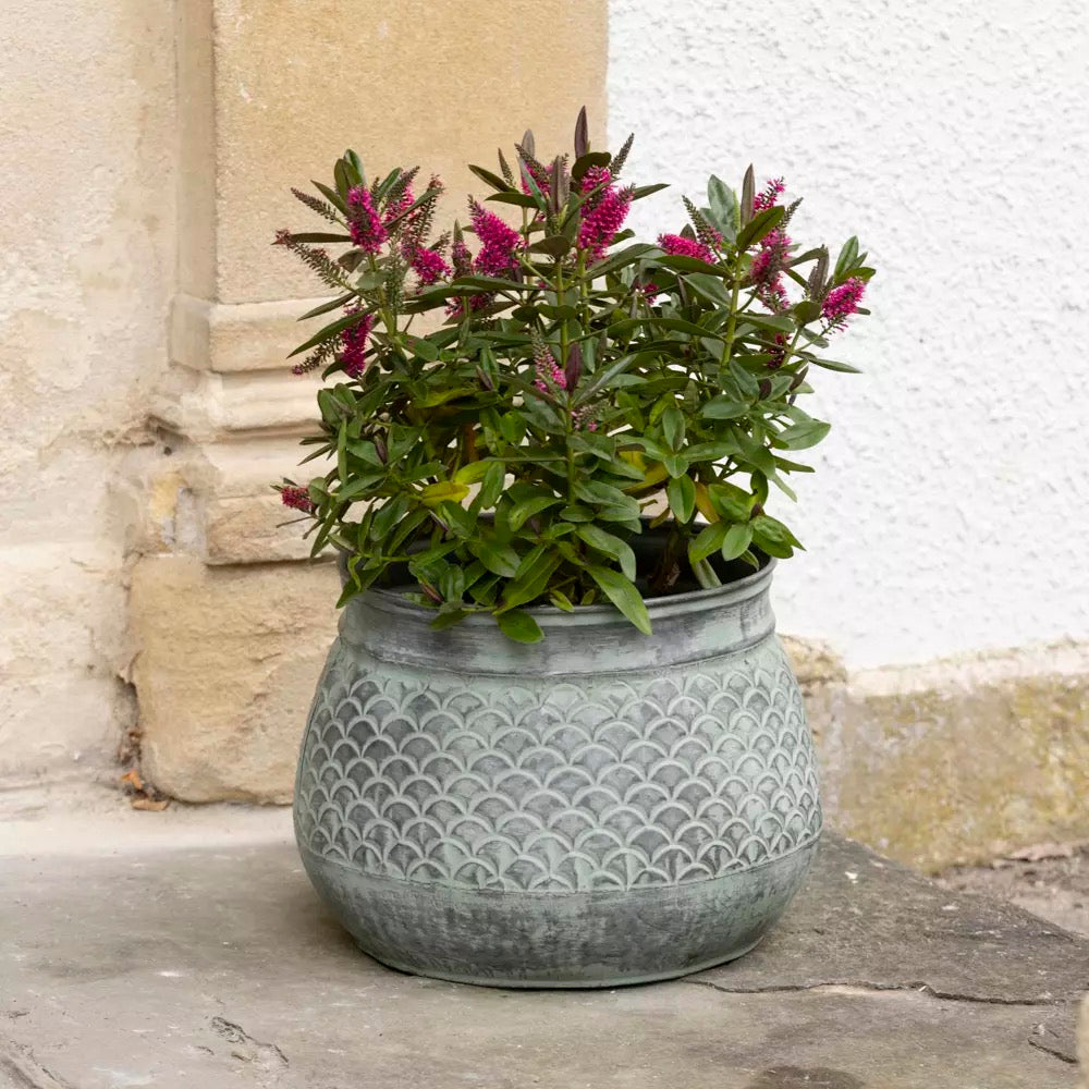 Zinc Decorative Planters